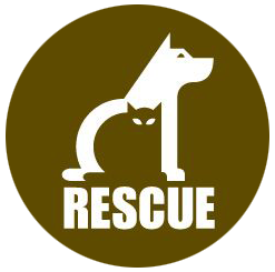 The Paw Adoption Centra Logo. Logo design by randyheil